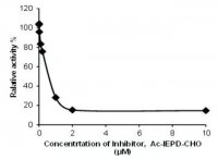 Granzyme B Inhibitor Screening Kit MAK209-1KT