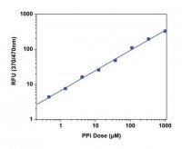 High Sensitivity Pyrophosphate Assay Kit MAK169-1KT