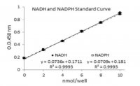 IDH Activity Assay Kit MAK062-1KT