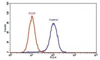 Mitochondrion Membrane Potential Kit MAK146-1KT