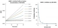 MMP-1 Inhibitor Screening Kit MAK212-1KT