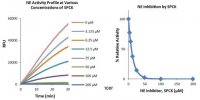 Neutrophil Elastase Inhibitor Screening Kit MAK213-1KT