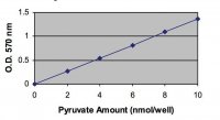 Pyruvate Assay Kit MAK071-1KT