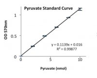 Pyruvate Kinase Activity Assay Kit MAK072-1KT