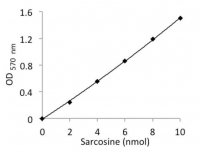 Sarcosine Assay Kit MAK073-1KT