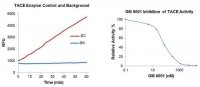 Tace Inhibitor Screening Assay Kit MAK218-1KT