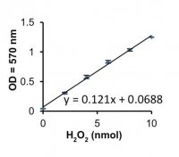 Xanthine Oxidase Activity Assay Kit MAK078-1KT