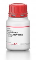 Adenosine 5-triphosphate disodium salt hydrate 