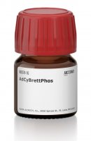 AdCyBrettPhos 