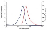 Dibenzocyclooctyne-PEG4-Fluor 545 