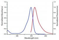 Fluor 488-Alkyne 