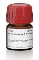 2,6-Diaminopurine-9-arabinoside 