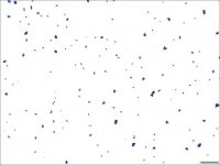 Gram stain for films HT90A-1KT