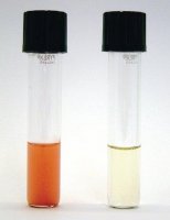 Ferrioxamine E from Streptomyces antibioticus 