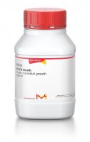 NZCYM Broth 