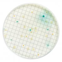 Pseudomonas Selective Broth MHA000P2P