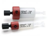 HiTrap rprotein A Fast Flow GE17-5079-01