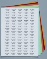 Laser Tough-Tags Z688363-1PAK