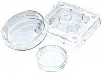 Nunc IVF multidish 