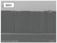 Carbon nanotube array, multi-walled 