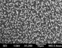 Carbon nanotube array, multi-walled 687804-1EA