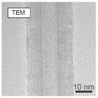 Carbon nanotube, multi-walled 901002-1G