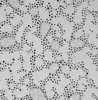 (11-Mercaptoundecyl)tetra(ethylene glycol) functionalized gold nanoparticles 687863-5ML