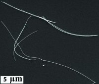Gold nanowires 716952-10ML
