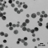 Silver nanospheres 795933-25ML