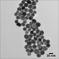 Silver nanospheres 806994-1ML