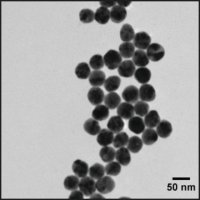 Silver nanospheres 807400-1ML