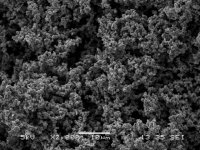 High surface area conducting polyaniline 912891-2G