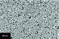 Silver nanoparticle ink 