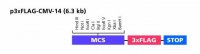 p3XFLAG-CMV-14 Expression Vector 