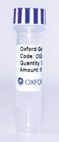PSF-CMV-SV40 ORI SBFI - SV40 ORIGIN PLASMID OGS114-5UG