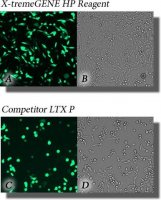 X-tremeGENE HP DNA Transfection Reagent 