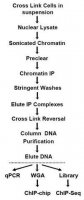 Imprint Ultra Chromatin Immunoprecipitation Kit 