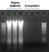 GenElute Stool DNA Isolation Kit DNB200-50RXN