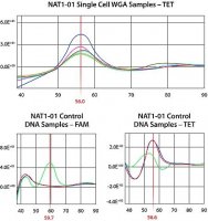 GenomePlex Single Cell Whole Genome Amplification Kit 