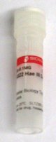 pBR322 Hae III Digest 