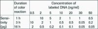 DIG DNA Labeling and Detection Kit 11093657910