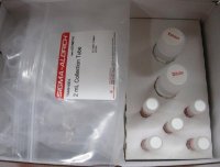 Extract-N-Amp Plant PCR Kit XNAP2E-1KT