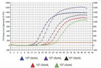 GenElute Water RNA/DNA Purification Kit - 0.45 m RDP100-25RXN