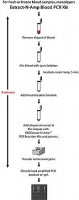 REDExtract-N-Amp Blood PCR Kit XNAB-1KT