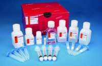 GenElute HP Plasmid Maxiprep Kit NA0300-1KT
