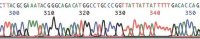 GenElute HP Plasmid Midiprep Kit NA0200-1KT