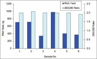 GenElute Single Cell RNA Purification Kit RNB300-50RXN