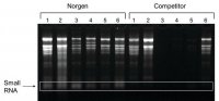 Plant/Fungi RNA Purification Kit 