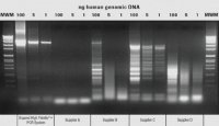 Expand High FidelityPLUS PCR System 