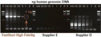 FastStart High Fidelity PCR System 